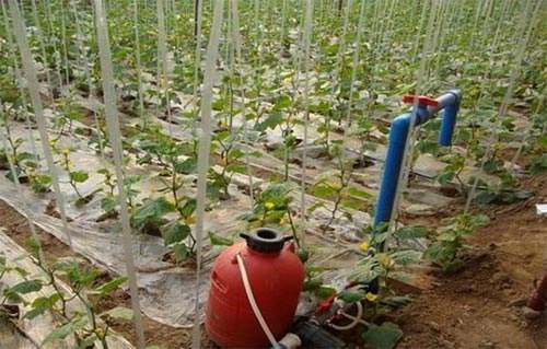 水肥加肥機