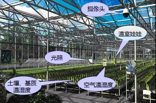 溫室物聯網大數據云平臺