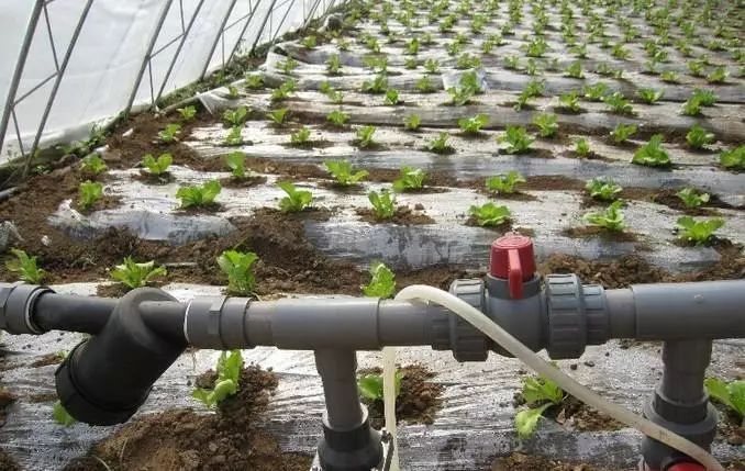 菜地肥水噴灌控制系統